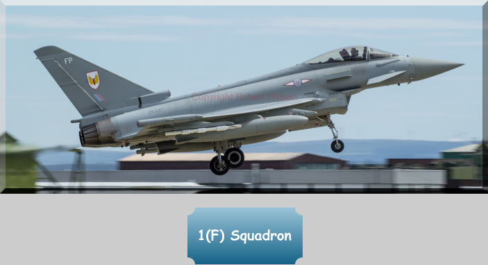 1(F) Squadron